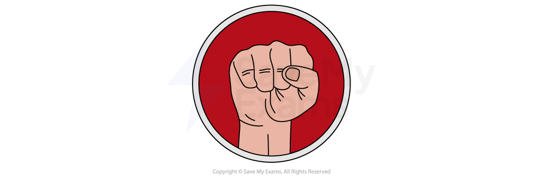 Illustration of a raised clenched fist viewed from the front, centred in a red circle with a thin white and grey border.