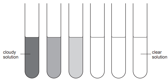 [Figure: Six test tubes showing the results of the antibiotic investigation — tubes 1-3 show cloudy solution and tubes 4-6 show clear solution]