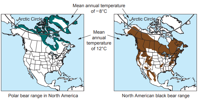 [Figure: two maps of North America; one shaded map shows the polar bear range around the Arctic Circle with a mean annual temperature of −8°C, the other shows the North American black bear range further south with a mean annual temperature of 12°C]