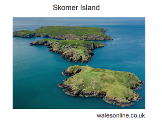 [Figure: Photograph of Skomer Island, source: walesonline.co.uk]