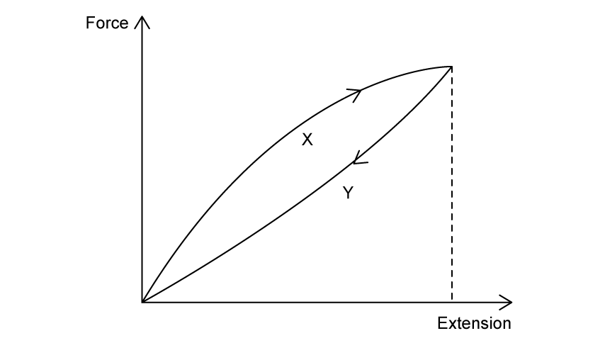 A force-extension graph showing a loading curve that rises steeply from the origin, then flattens towards a maximum point, and an unloading curve that returns from the same maximum point to the origin. Region X lies between the two curves. A dashed line from the maximum point to the extension axis indicates region Y below the unloading curve.