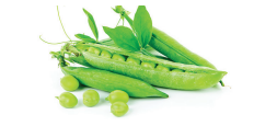 Fresh green pea pods, some opened to show round peas, with loose peas and leaves arranged on a white background