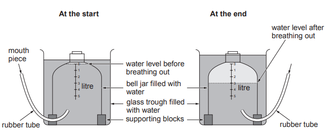 [Figure: A diagram of a bell jar apparatus for measuring vital capacity, showing a bell jar filled with water inverted over a glass trough of water, supported on blocks, connected via a rubber tube and mouthpiece, with litre scale markings shown both 'At the start' (water level before breathing out) and 'At the end' (water level after breathing out)]