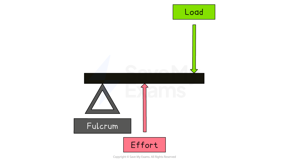 Diagram of a lever: fulcrum at the left end, effort force pushing upwards in the middle, and load force pushing downwards at the right end.