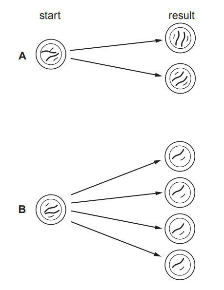 [Figure: Diagram A shows a starting cell with 4 chromosomes dividing to produce two daughter cells, each with 4 chromosomes (identical to the start). Diagram B shows a starting cell with 4 chromosomes dividing to produce four daughter cells, each with 2 chromosomes]