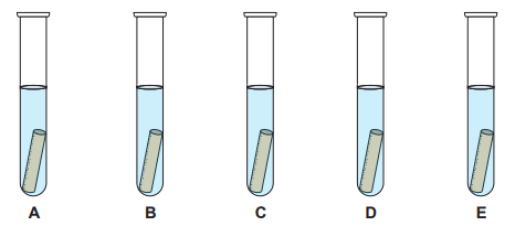 Five test tubes labelled A–E, each half full of liquid with a slanted submerged rod, showing the same apparent depth in every tube.