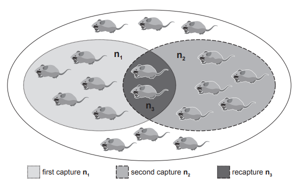 [Figure: Image 7.1 — a diagram of a warehouse floor showing the pest control officer's initial on-the-spot estimate of the total number of mice, alongside the mice caught in the first capture (n1 = 7), the mice caught in the second capture (n2 = 7), and the marked mice found within the second capture (n3 = 2)]