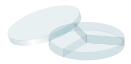 Transparent round Petri dish with three internal compartments, its lid resting at an angle behind it on a white background