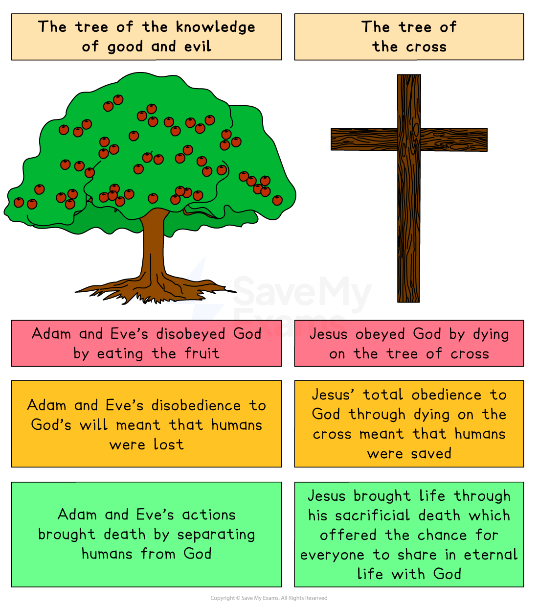 Christian diagram contrasting Adam and Eve’s fall at the tree of knowledge with Jesus’ obedient death on the cross, explaining human loss and salvation.