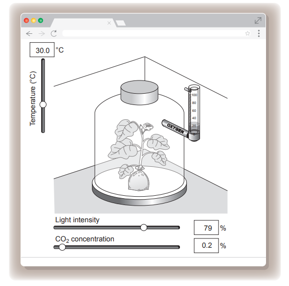 [Figure: Image 4.1 — a screenshot of a photosynthesis simulation showing sliders for temperature (30.0 °C), light intensity (79%) and CO2 concentration (0.2%)]