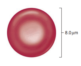 [Figure: A diagram of a red blood cell showing its diameter as 8.0 μm]