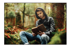 Young man in a hooded jacket sits against a tree in a green forest, reading an old book on his lap, surrounded by moss and soft natural light