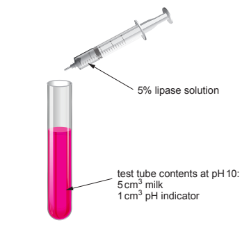 [Figure: Image 6.2 — apparatus showing a test tube containing 5 cm3 milk and 1 cm3 pH indicator at pH 10, with a syringe containing 5% lipase solution, both standing in a water bath]