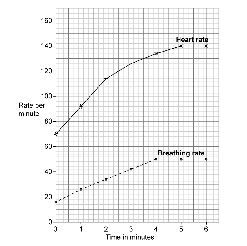 Line graph drawn on a fine square grid with time in minutes from 0 to 6 on the horizontal axis and rate per minute from 0 to 160 on the vertical axis. A solid line labelled Heart rate, with crosses as points, rises steeply from 70 at 0 minutes to 140 at 5 minutes and then stays level at 140 at 6 minutes. A dashed line labelled Breathing rate, with round dots as points, rises from 16 at 0 minutes to 50 at 4 minutes and then stays level at 50 at 5 and 6 minutes