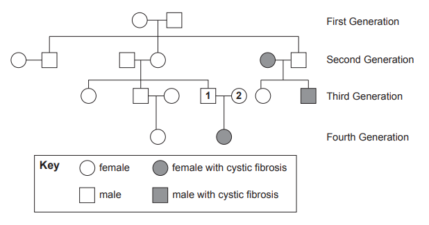 [Figure: A family tree spanning four generations, showing males and females, some affected by cystic fibrosis (shown with a different symbol/shading), with person 1 and person 2 identified in the diagram]