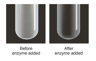 [Figure: two test tubes showing the colour change before and after enzyme is added to the protein solution - cloudy before, clear after]