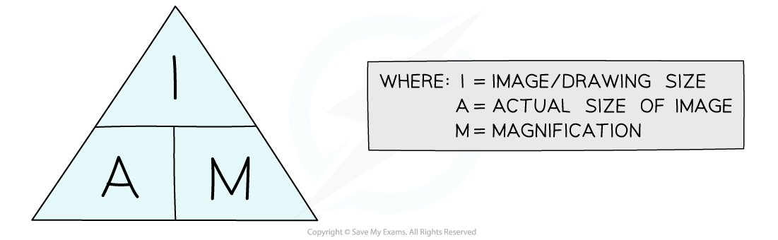 Triangle formula diagram labelled I over A and M, with key: I = image or drawing size, A = actual size of image, M = magnification.