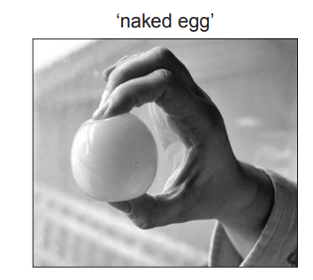[Figure: Photograph of a 'naked egg' — a hen's egg with its shell dissolved away, leaving only the membrane-bound contents intact]