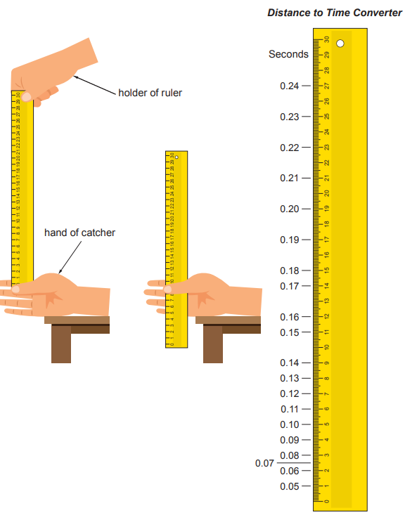 [Figure: diagram of the ruler-drop reaction time experiment, showing a person's hand holding a ruler above another person's hand positioned to catch it, alongside a Distance to Time Converter scale for converting the ruler-drop distance into a reaction time in seconds]