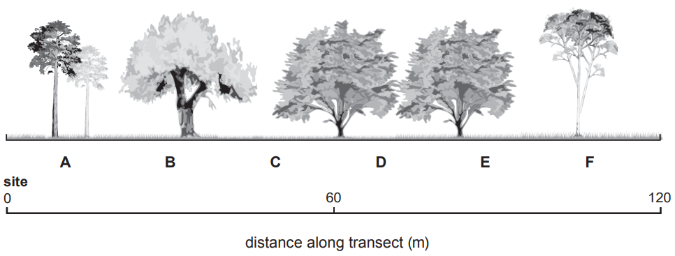[Figure: Diagram of a 120 m transect line through a wood with six sampling sites (A-F) marked between 0 m and 120 m]