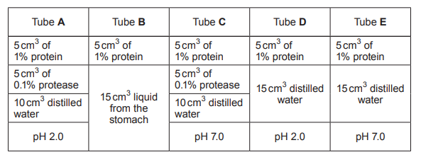 Table showing five test tubes with different mixtures of protein, protease, stomach liquid or water, and pH values 2.0 or 7.0 for enzyme investigation