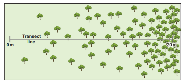 [Figure: Diagram of a woodland transect line running from 0 m at the woodland edge to 20 m towards the centre of the wood]