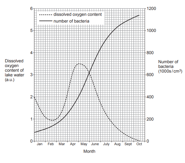 Graph showing lake dissolved oxygen dipping to a minimum around February/March, peaking around April/May, then falling to zero by October, while bacterial numbers rise steadily from January, levelling near 1150k in October