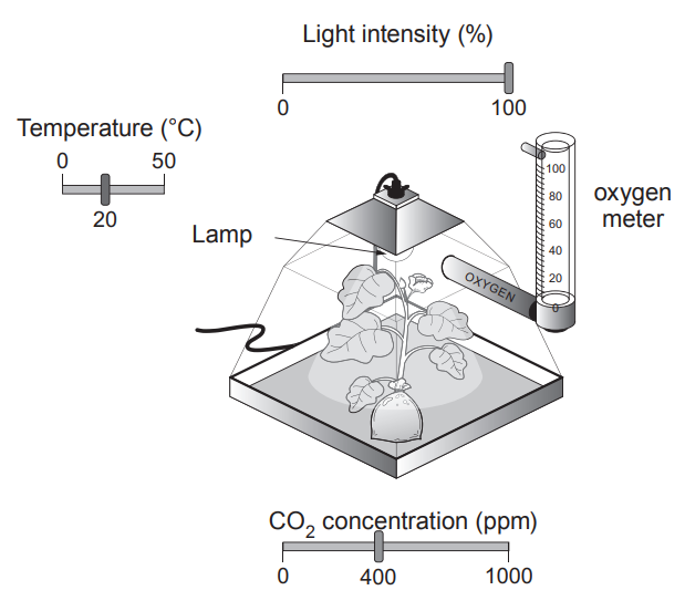 [Figure: Diagram of the sealed container apparatus, showing a lamp above a plant, an oxygen meter monitoring O2 production, and dials for light intensity (0-100%), CO2 concentration (0-1000 ppm), and temperature (0-50°C)]