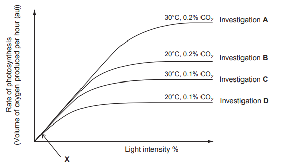 [Figure: Graph 4.2 — rate of photosynthesis (volume of oxygen produced per hour) plotted against light intensity (%) for four investigations: Investigation A (30°C, 0.2% CO2), Investigation B (20°C, 0.2% CO2), Investigation C (30°C, 0.1% CO2), Investigation D (20°C, 0.1% CO2), with point X marked on one of the curves]