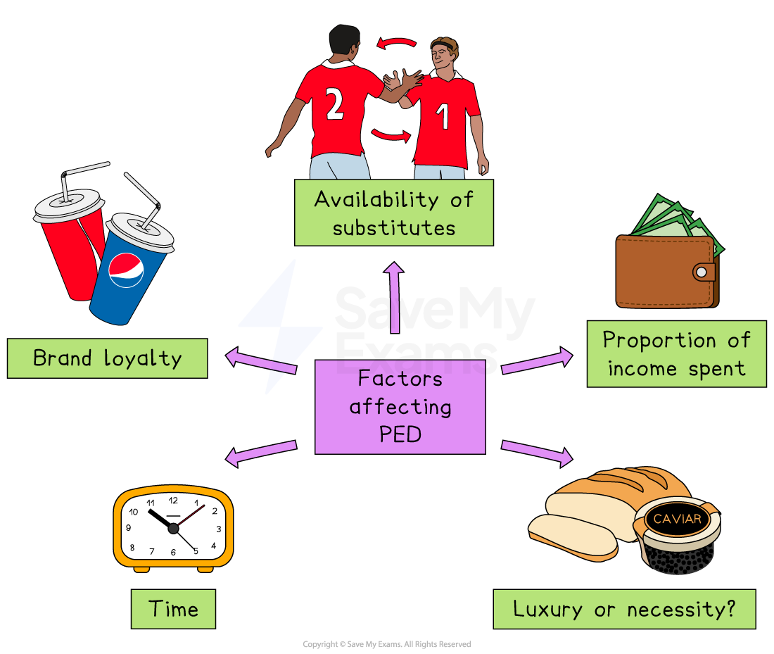 Diagram illustrating factors affecting Price Elasticity of Demand (PED): brand loyalty, substitutes, income spent, time, and luxury versus necessity.