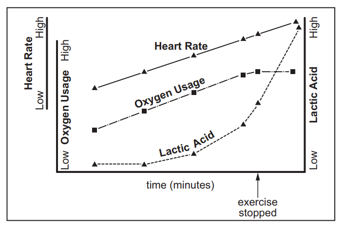 [Figure: Graph showing oxygen usage, lactic acid, and heart rate (each on a low-to-high scale) plotted against time (minutes), with a marker showing when exercise stopped. Oxygen usage and heart rate rise during exercise then decline gradually after exercise stops; lactic acid rises during exercise and remains elevated for some time after exercise stops before declining]