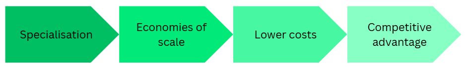 Green arrow diagram showing a sequence: Specialisation → Economies of scale → Lower costs → Competitive advantage