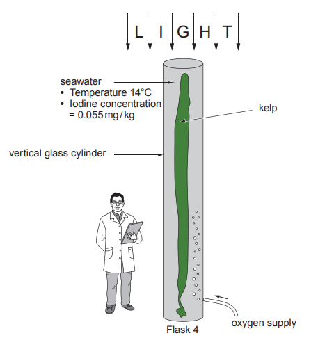 [Figure: Diagram of a vertical glass cylinder (Flask 4) containing kelp in seawater under light, with an oxygen supply bubbling in from below. Labelled conditions: temperature 14°C, iodine concentration = 0.055 mg/kg]