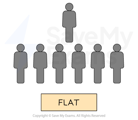 Diagram illustrating a flat organisational structure, with one superior figure above six subordinates arranged in a line below.