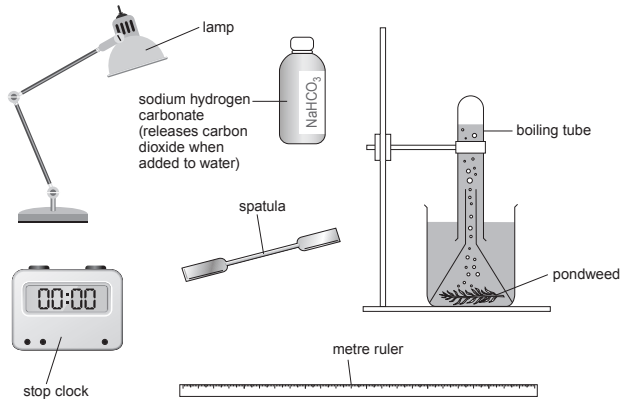 [Figure: diagram of laboratory apparatus for investigating photosynthesis rate - a boiling tube containing pondweed and sodium hydrogen carbonate (NaHCO3) solution (releases carbon dioxide when added to water), a lamp positioned at a measurable distance using a metre ruler, a spatula, and a stop clock]