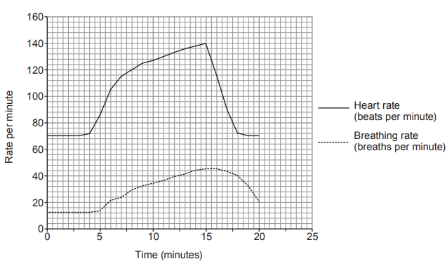 Line graph of heart and breathing rates over 25 minutes, both rising to a peak around 15 minutes then falling, with heart rate always higher than breathing rate