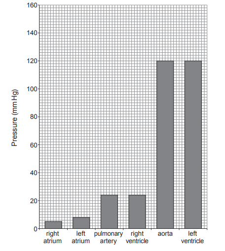 [Figure: bar chart showing maximum pressure (mm Hg, 0-160) for right atrium, left atrium, aorta, pulmonary artery, right ventricle, and left ventricle during the cardiac cycle]