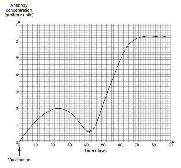 [Figure: Graph 5.2 — antibody concentration (arbitrary units, 0–7) plotted against time (days, 0–90), with vaccination marked at day 0, a slow rise in antibody concentration over the first 20 days, then a plateau, then a very rapid rise between days 45 and 65 marked with a point X, followed by a decline]