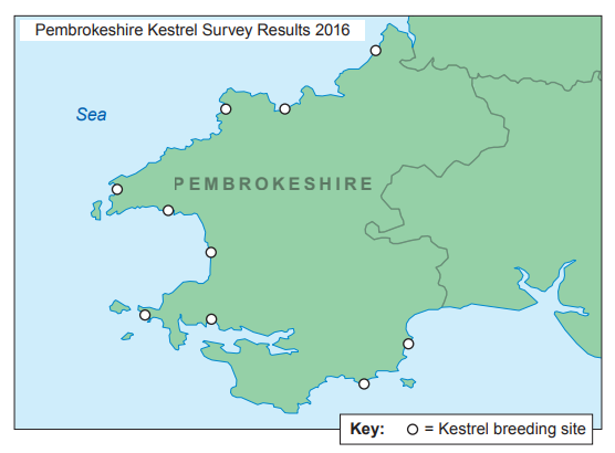 [Figure: Image 6.2 — a map of Pembrokeshire showing kestrel breeding sites marked mostly along the coastline, from the 2016 Pembrokeshire Kestrel Survey Results]