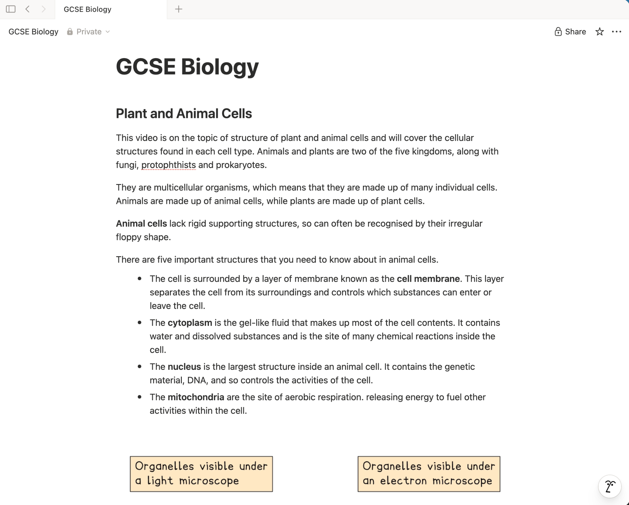 OneNote page titled “GCSE Biology: Plant and Animal Cells” contains notes on animal cells and their structures, including the cell membrane, cytoplasm, nucleus and mitochondria, with headings for light- and electron-microscope views.