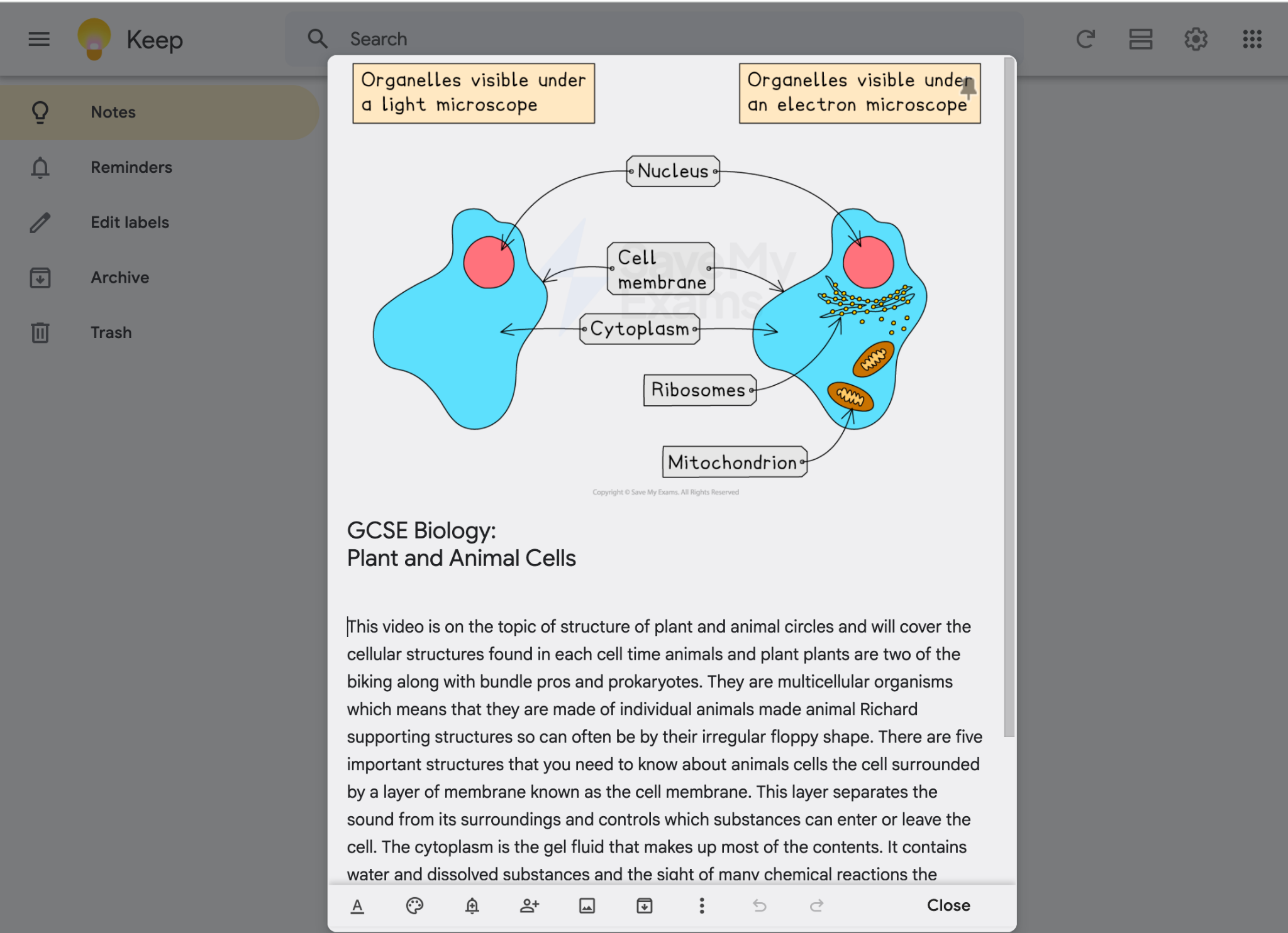 Google Keep note titled “GCSE Biology: Plant and Animal Cells”, showing a diagram labelled nucleus, cell membrane and cytoplasm, with ribosomes and mitochondria visible under an electron microscope, above a dictated transcript.