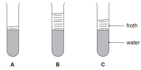 Figure: Three test tubes labelled A, B and C, each showing a different height of froth/lather formed above the water after shaking with soap solution — A shows the least froth, B shows the most froth, C shows an intermediate amount.