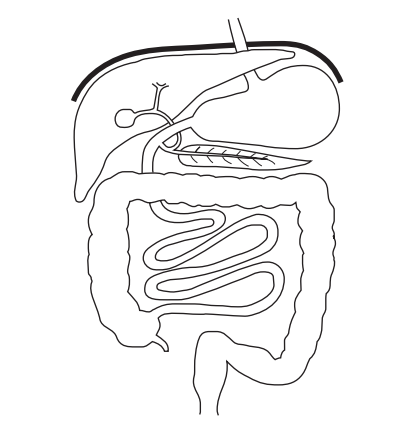 [Figure: Diagram of part of the human digestive system with two unlabelled structures marked A and B for the candidate to identify]