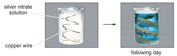 Figure: Two photographs of a beaker containing silver nitrate solution with a coil of copper wire suspended in it. The "before" photo shows a colourless solution with a plain copper wire. The "following day" photo shows the solution has turned blue, and the copper wire is coated with fine silvery crystals.