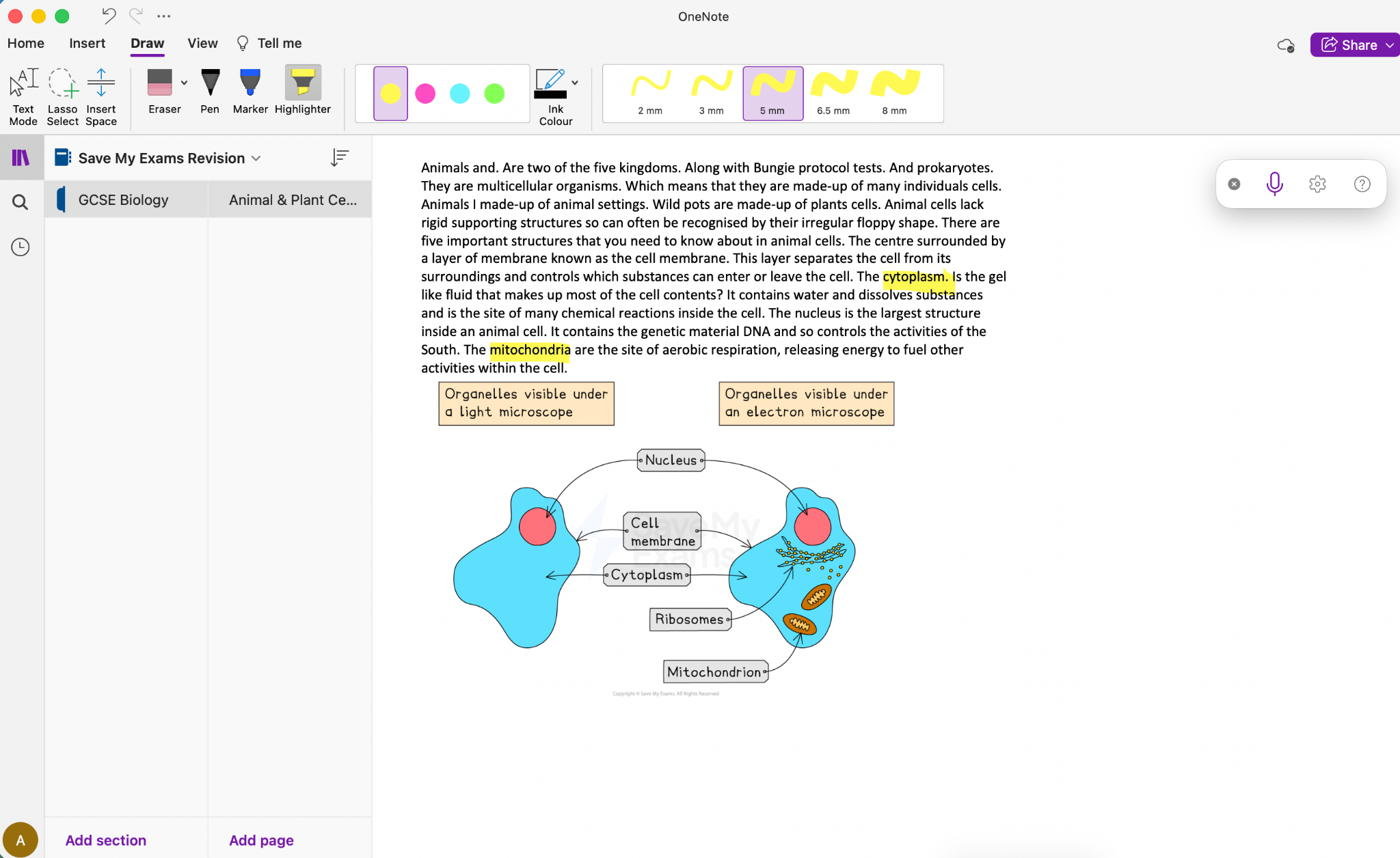 Diagram comparing animal cells: a light microscope shows the nucleus, cell membrane and cytoplasm; an electron microscope also shows ribosomes and mitochondria. Labels identify each organelle.