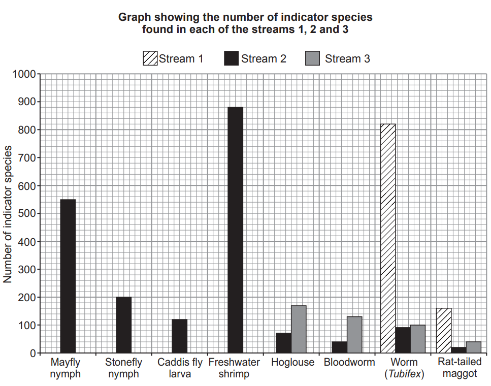 [Figure: Bar graph titled 'Graph showing the number of indicator species found in each of the streams 1, 2 and 3', showing number of indicator species (y-axis, 0-1000) for Mayfly nymph, Stonefly nymph, Caddis fly larva, Freshwater shrimp, Hoglouse, Bloodworm, Worm (Tubifex), and Rat-tailed maggot (x-axis), with separate bars for Stream 1, Stream 2, and Stream 3]