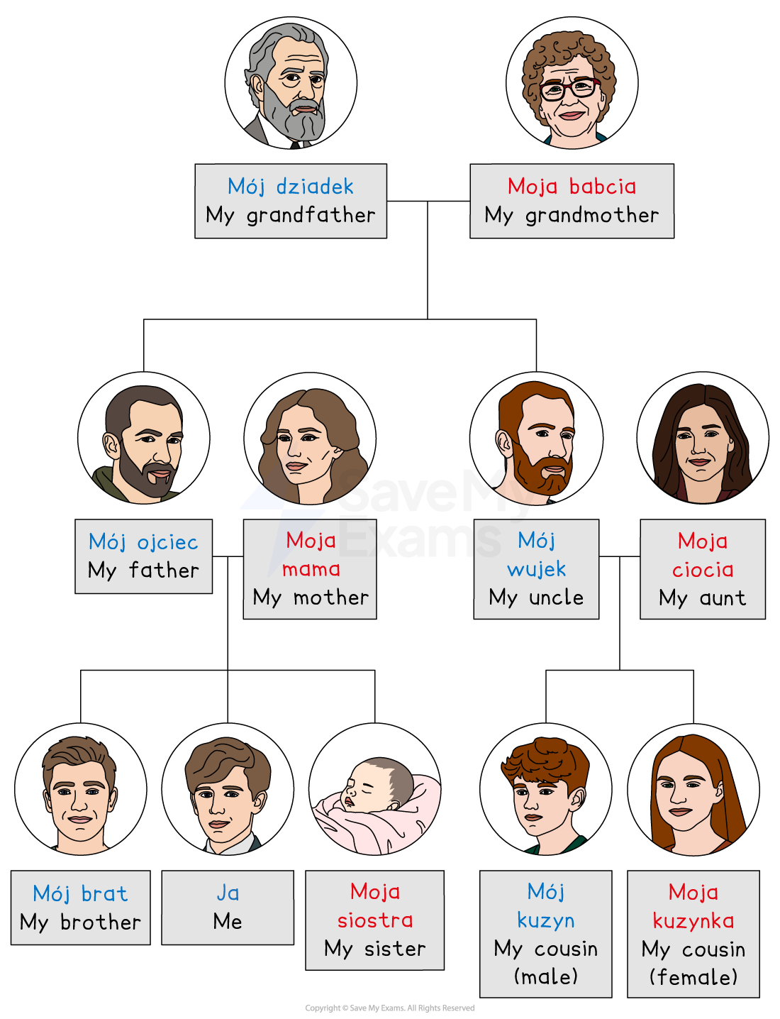 Family tree labelled: Mój dziadek/My grandfather and Moja babcia/My grandmother; Mój ojciec/My father, Moja mama/My mother, Mój wujek/My uncle and Moja ciocia/My aunt; Mój brat/My brother, Ja/Me, Moja siostra/My sister, Mój kuzyn/My male cousin and Moja kuzynka/My female cousin.