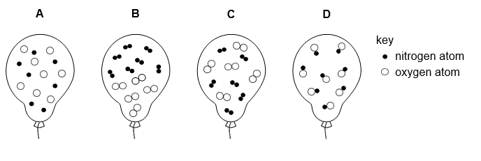 Four balloon outlines labelled A to D, each drawn with particles inside. A key shows a filled circle as a nitrogen atom and an open circle as an oxygen atom. Balloon A contains separate single circles, both filled and open, none of them joined. Balloon B contains pairs of two filled circles gathered in the upper half and pairs of two open circles gathered in the lower half. Balloon C contains pairs of two filled circles and pairs of two open circles spread throughout. Balloon D contains pairs each made of one filled circle joined to one open circle.
