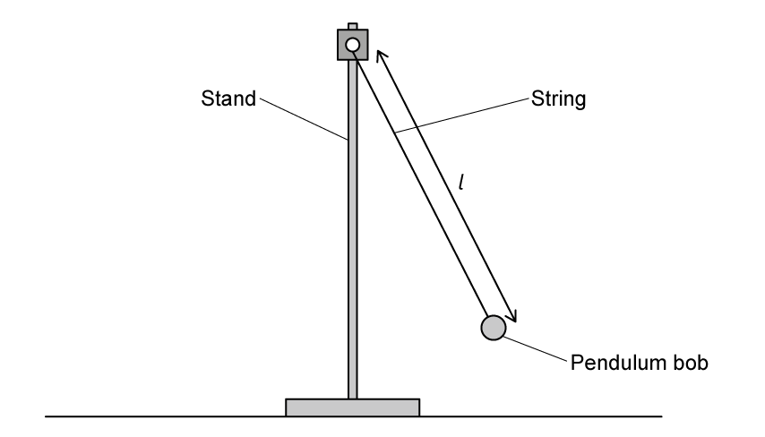 A simple pendulum with a stand and clamp support a string with a pendulum bob at its lower end. A double-headed arrow labelled l shows the length from the suspension point to the centre of the bob.