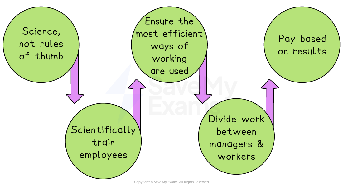 Flowchart with five green circles: science over rules, train employees, efficient work methods, divide work and pay based on results. Arrows show progression.